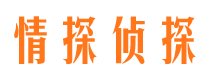 银川侦探公司